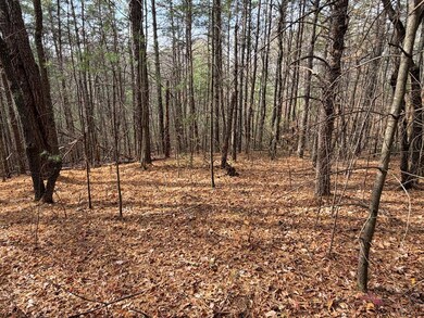 TBD Caution Tape Rd, Cana, VA 24317 - photo 6