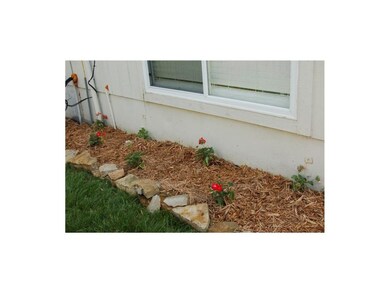 Side yard planted with fresh summer flowers.