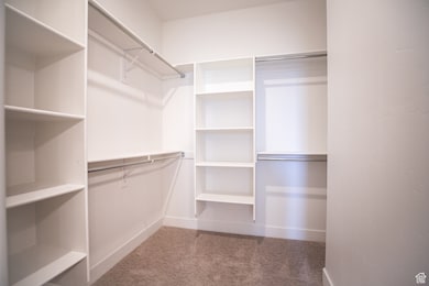 Spacious, walk-in  closet attached to primary suite