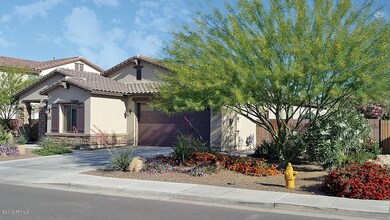 blooming front yard