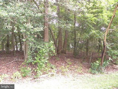 Lot 33 W Ocean Farm Dr, Ocean View, DE 19970 - photo 3
