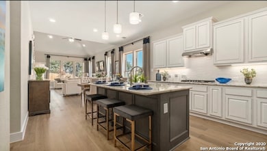 4125 Monteverde View, San Antonio, TX 78261 - photo 4