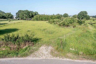 2-web-or-mls-DJI_0403