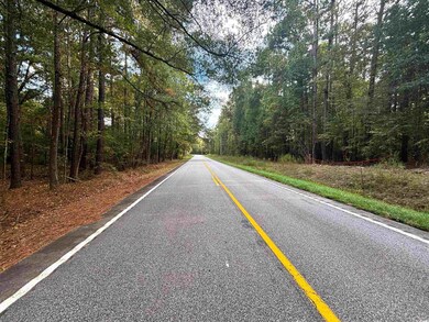 0 Marlboro Way, Bennettsville, SC 29512 - photo 4