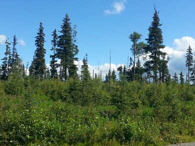 20140729_160246.jpg