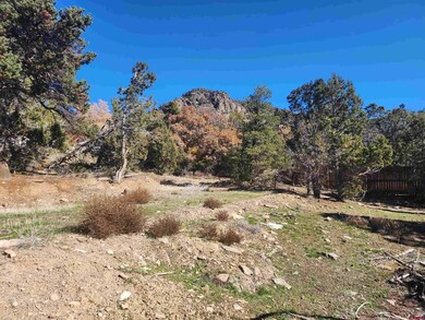 242 Fir Ave, Crawford, CO 81415 - photo 4