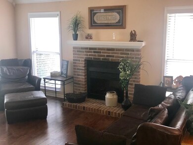 Living with electric log insert