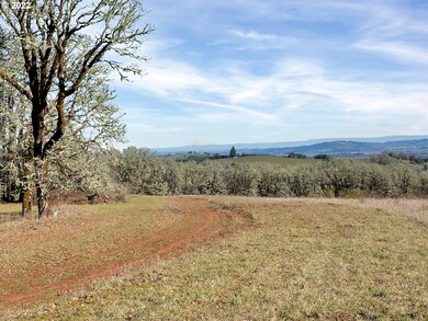 17000 SW Sunnyridge Ln, Sheridan, OR 97378 - photo 6