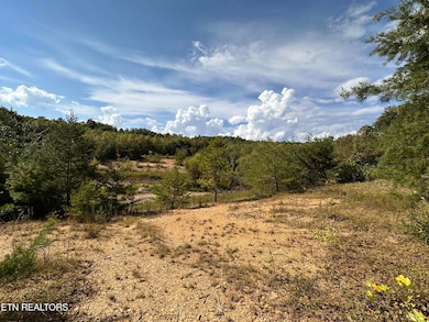 0 13 44 Ac Chestnut Ridge Rd, Allardt, TN 38504 - photo 6