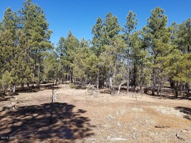 1301 S Jimson Loop