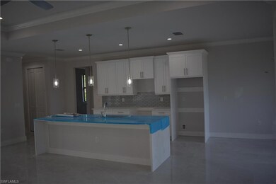 3837 64th Ave NE, Naples, FL 34120 - photo 6