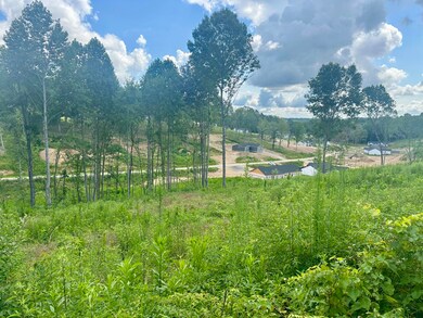 87 Rodeo Dr, Corbin, KY 40701 - photo 4