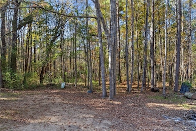 14110 Mary Dr, Coker, AL 35452 - photo 6