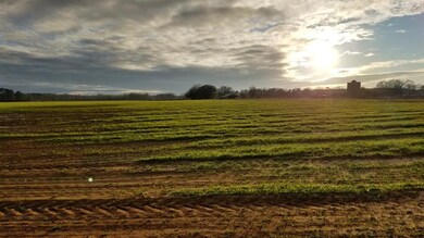 Tbd Ralph Bell Rd, Summerton, SC 29148 - photo 6