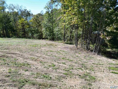 Tract1 Gunter Hollow Rd, Pulaski, TN 38478 - photo 2