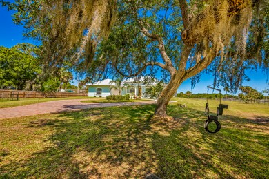 Front of Rector Rd tree with swing