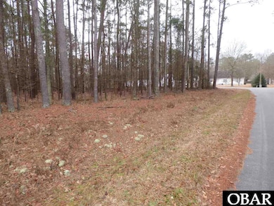 208 Seminole Trail unit Lot 104, Edenton, NC 27932 - photo 3
