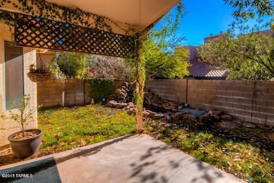 48 Backyard photo a-001