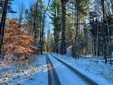 821 Hidden Acres, East Jordan, MI 49727 - photo 4