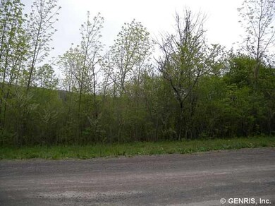 Land/Lot. This a view looking directly into the pr