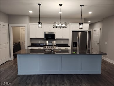 1337 Lake Vue Dr, Roaming Shores, OH 44085 - photo 4