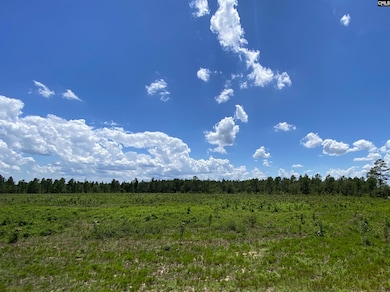 00 Bub Shumpert Rd, Pelion, SC 29123 - photo 7