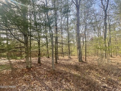 0 Briarcrest Dr, Lackawaxen Township, PA 18428 - photo 6