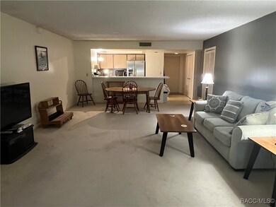 1 Cypress Run unit 11C, Homosassa, FL 34446 - photo 7