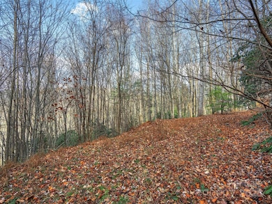 000 Indian Cave Park Rd, Hendersonville, NC 28739 - photo 3