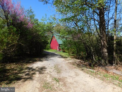 116 Hook Trail Rd, Mathias, WV 26812 - photo 4