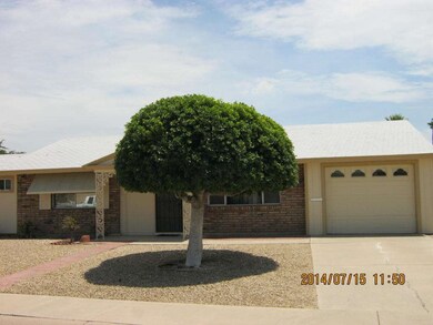 Nice Shade Tree out Front