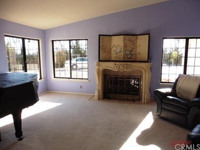 Living Room with lots of light