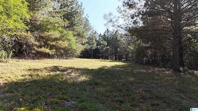 701 County Road 31, Hanceville, AL 35077 - photo 6