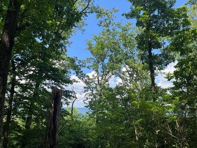 00 Jackson Point Rd, Sewanee, TN 37380 - photo 7