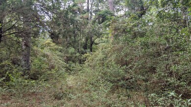 23403 Cardinal Dr, Hockley, TX 77447 - photo 2