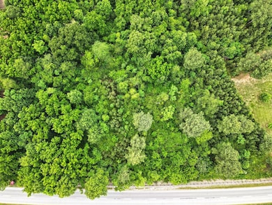 5540 Prince Edward Hwy, Prospect, VA 23960 - photo 4