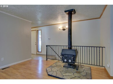 Fireplace Wood Burning Stove/Insert