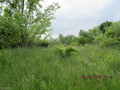 6269 Van Buren Rd, Clinton, OH 44216 - photo 5