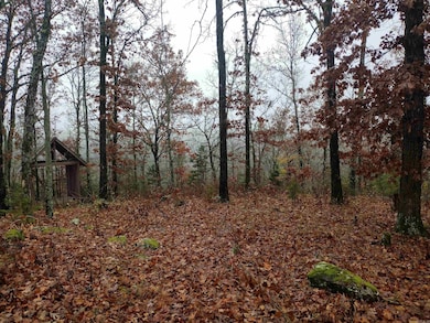 285 Rippling Shoals Ln, Melbourne, AR 72556 - photo 3