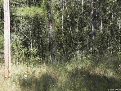 TBD Spring Dr, Middleburg, FL 32068 - photo 2