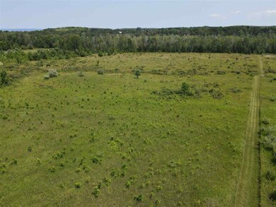 TBD Major Douglas Sloan Rd unit (Old US 31), Charlevoix, MI 49720 - photo 4