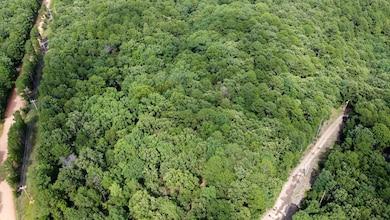 7.1 Highway 59, Jay, OK 74346 - photo 4