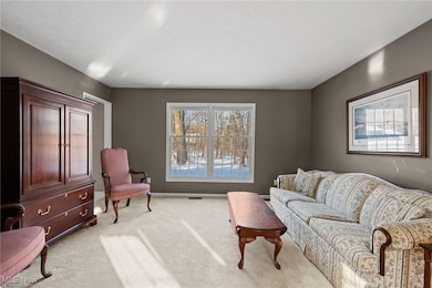 9201 Old Meadow Dr, Chagrin Falls, OH 44023 - photo 7