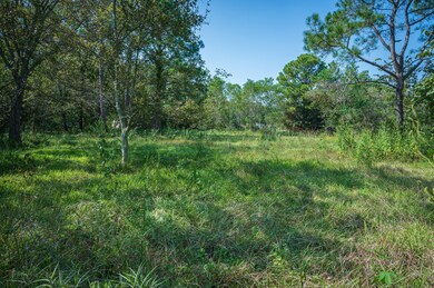 5830 Willow Dr, Pearland, TX 77584 - photo 4