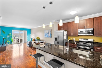 The Isabella At Monticello Mews unit 500, Alexandria, VA 22312 - photo 4