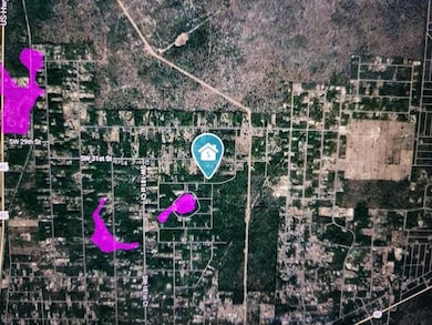 0 SW 34th St, Dunnellon, FL 34432 - photo 3