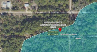 336 Gardenia Ave, Georgetown Cove, FL 32139 - photo 6