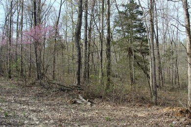 0 Bridle Trail Dr unit 21001697, Robertsville, MO 63072 - photo 4