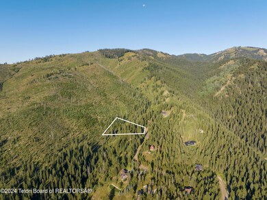 6880 Lupine Trail, Wilson, WY 83014 - photo 4