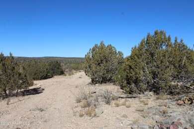 Tbd Greenview Ranch, Seligman, AZ 86337 - photo 4